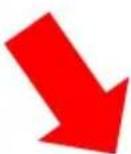 Vevor SYD05 - ISTRUZIONI (SEDIA) - 8
