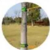 Vevor PR-010-50 - • HOW TO SET UP A SLACKLINE? - 3