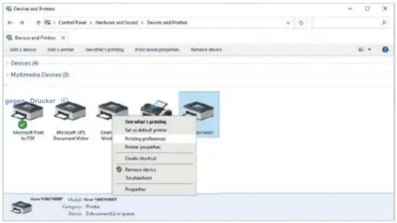 Vevor Y486 - Windows Druckereinrichtung - 2