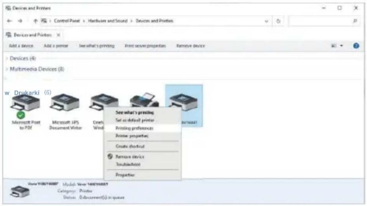 Vevor Y486 - Okna Konfiguracja drukarki - 2