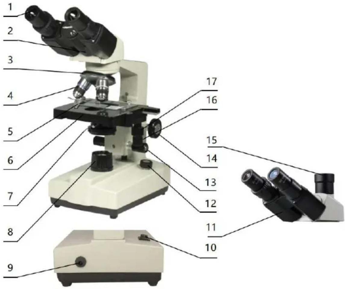 Vevor XSP-36TV - Microscope Structure and Characteristics - 1