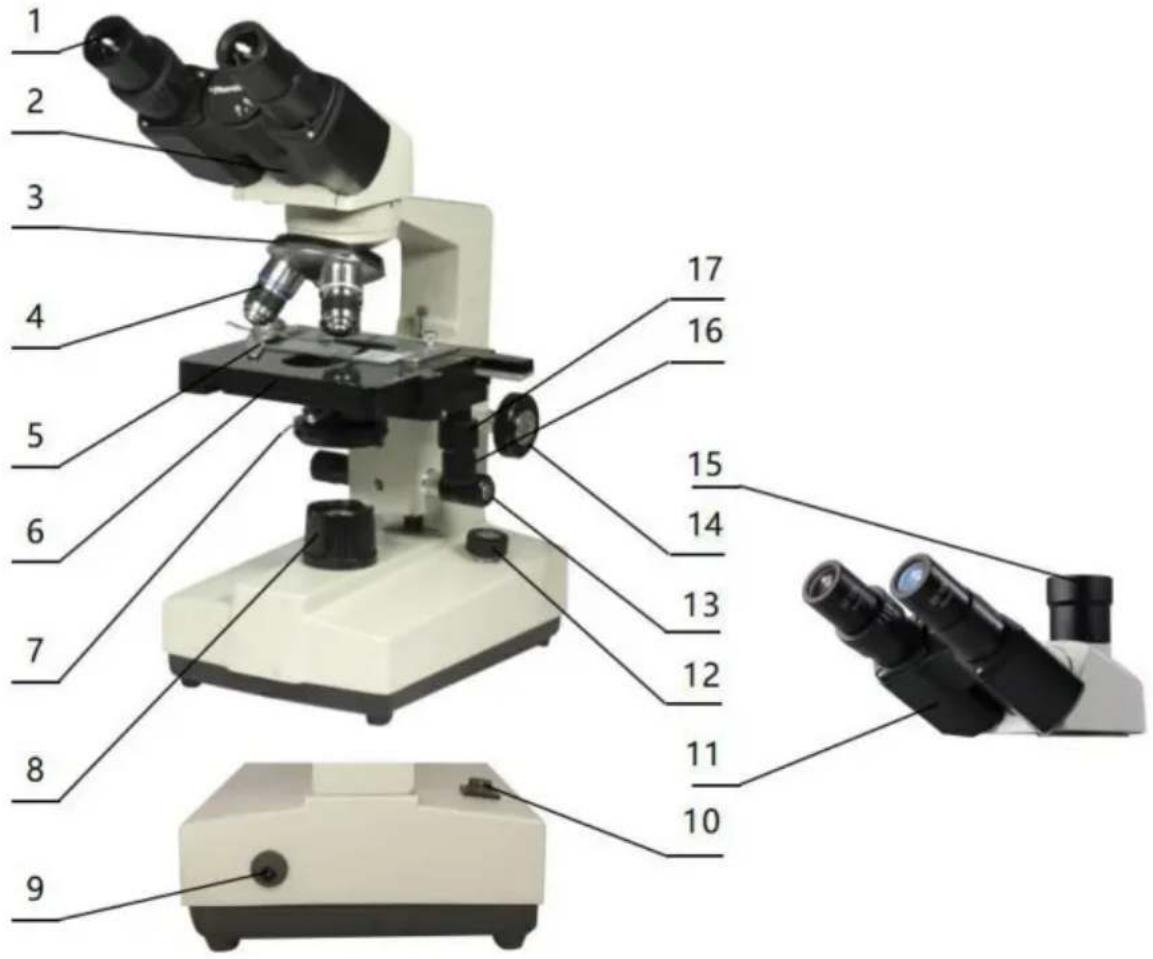 Vevor XSP-36TV - Microscope Structure and Characteristics - 1