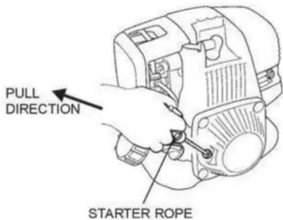 Vevor ZPJ-25A-4 - Avviamento del motore - 3