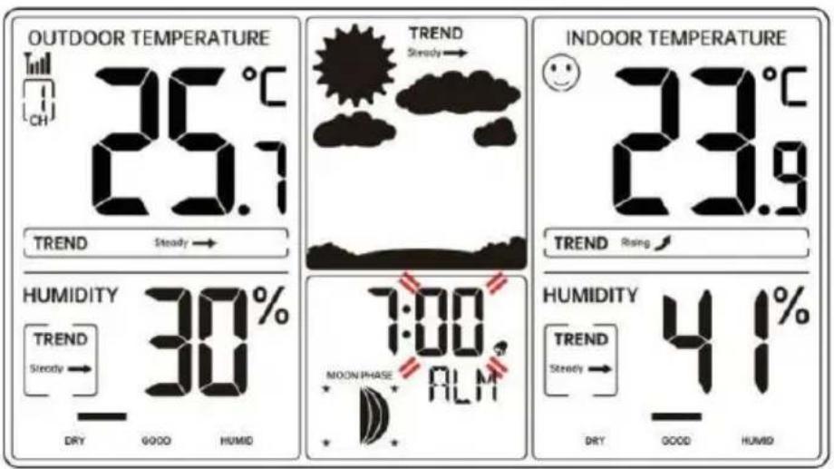 Vevor YT6077 - SETTING THE DAILY ALARMS - 2