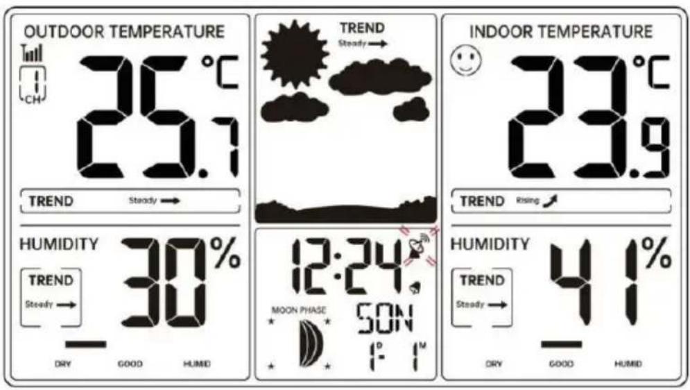 Vevor YT6077 - KOPPA UTOMHUSEN FJÄRRSENSOR - 4