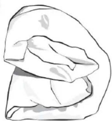 Vevor ZDCD1 - FOLDING INSTRUCTIONS - 7
