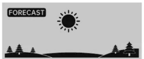 Vevor YT60309 - Weather Forecast - 1