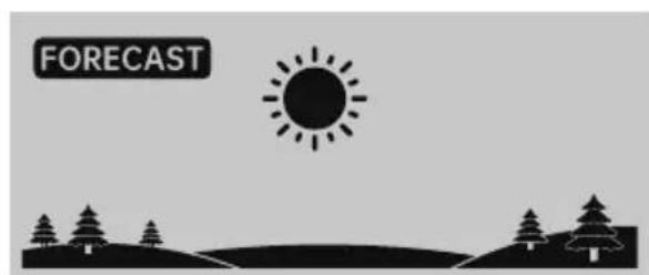 Vevor YT60310 - Weather Forecast - 1