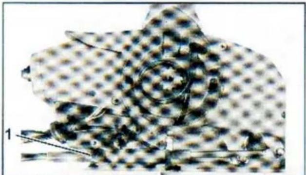 Vevor 5006180 - A -yUTI()y--- A - 11