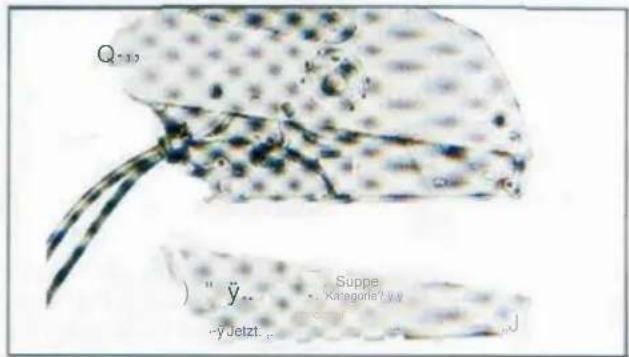 Vevor 5006180 - A -yUTI()y--- A - 7