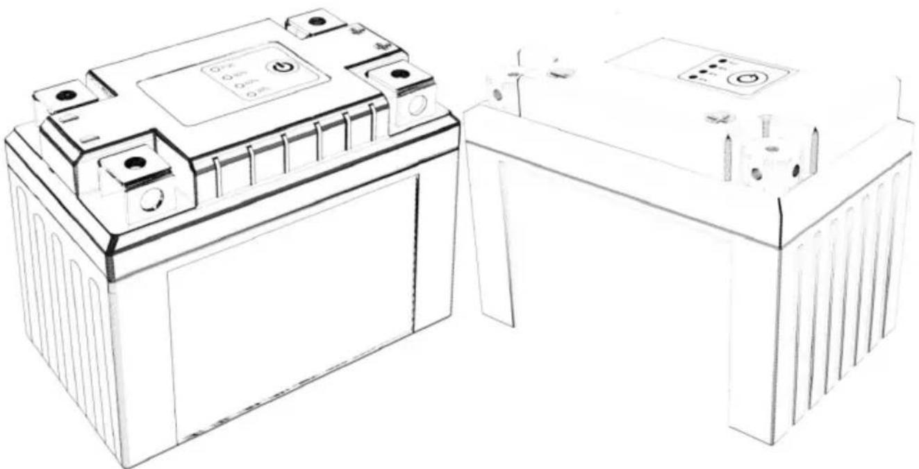 Vevor AMX12-ST020B - POWERSPORTS BATTERIES - 1