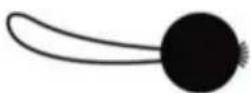 Vevor SXYJSCK-FBS12X20FT-W - LISTE DES PIÈCES - 4