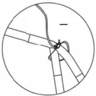Vevor SXYJSCK-FBS10X20FT-G - PARTS LIST - 13