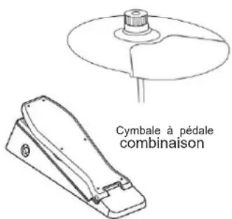 Vevor MD200E-P - BESOIN D'AIDE? CONTACTEZ-NOUS! - 5