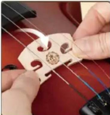 Vevor MV014W - Place the bridge between the F-holes. - 1