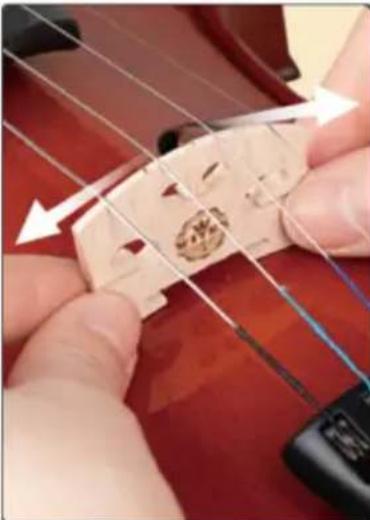 Vevor MV014W - Place the bridge between the F-holes. - 2