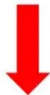 Vevor YSFLQ63*31*32 - STEP3 - 8