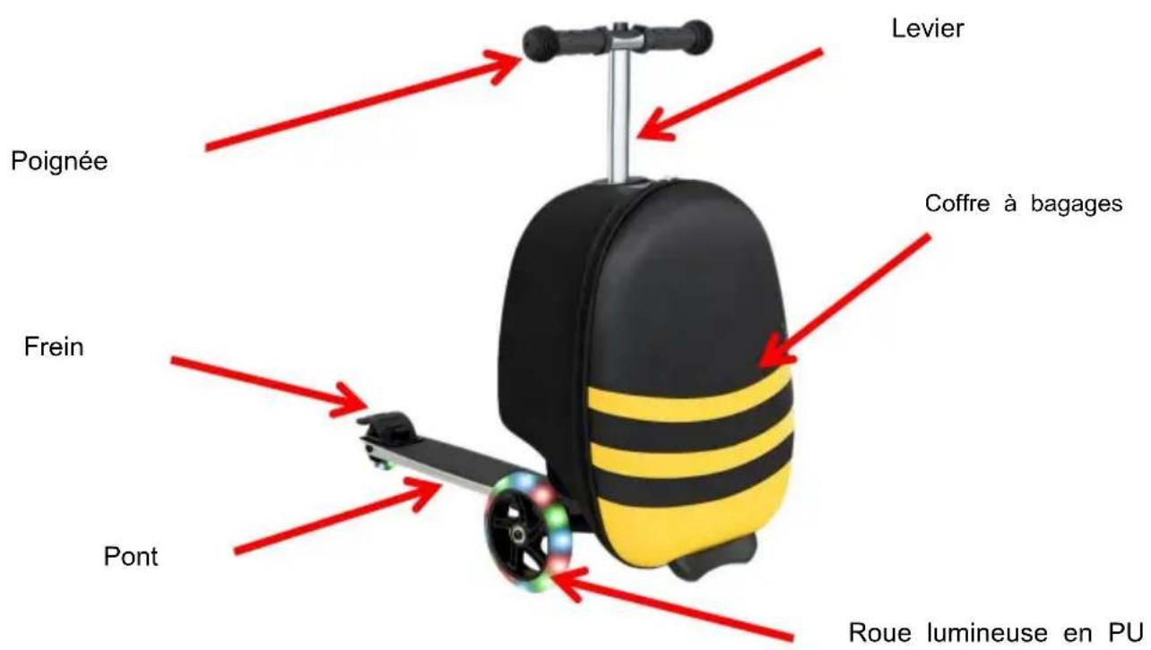 Vevor SC-19UC-B01 - Avis de sécurité important! - 1