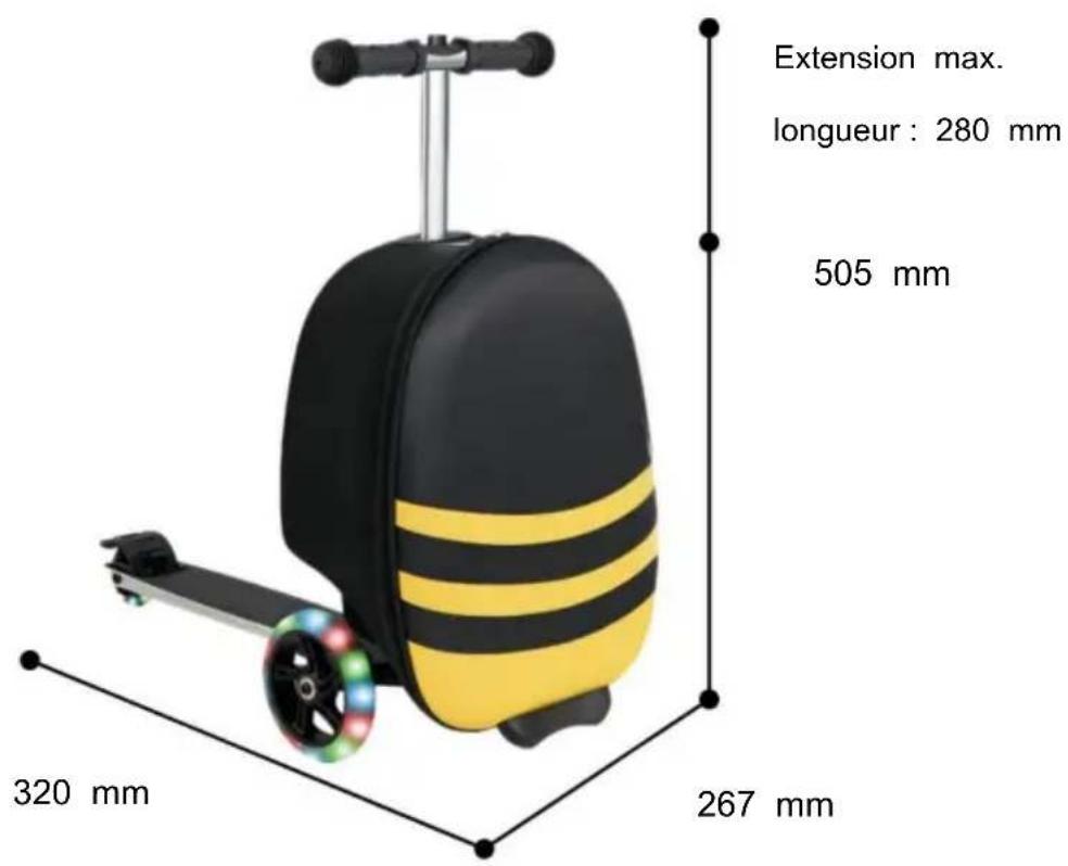 Vevor SC-19UC-B01 - Avis de sécurité important! - 2