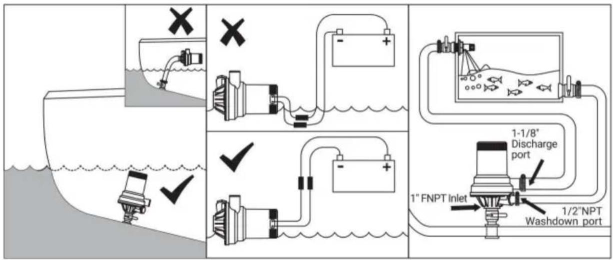 Vevor NMBP1-G1600-01A - INSTALLATION - 1
