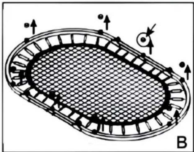 Vevor TX-B6399-36IN - ASSEMBLY STEPS - 2
