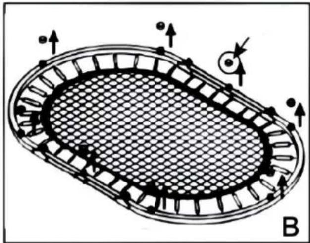 Vevor TX-B6399-36IN - ASSEMBLY STEPS - 2