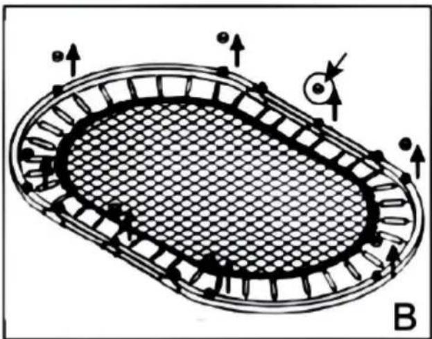Vevor TX-B6399-36IN - ASSEMBLY STEPS - 2