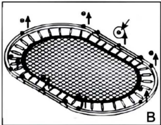Vevor TX-B6399-36IN - ASSEMBLY STEPS - 2