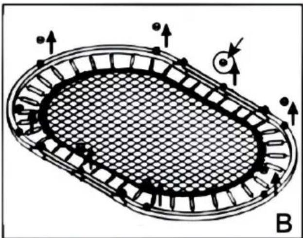 Vevor TX-B6399-36IN - ASSEMBLY STEPS - 2