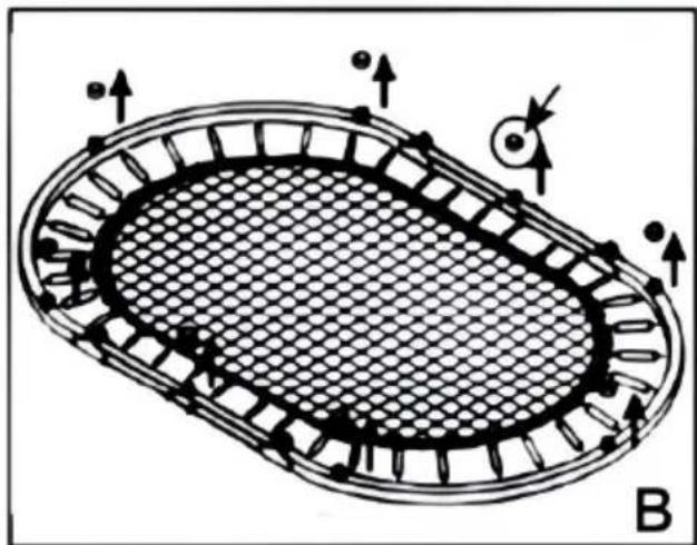 Vevor TX-B6399-36IN - ASSEMBLY STEPS - 2