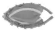 Vevor TX-B6232C-40IN+C - PRODUCT PART - 1