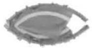 Vevor TX-B6232C-40IN+C - PRODUCT PART - 1