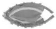 Vevor TX-B6389C-40IN+C - PRODUCT PART - 1