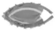 Vevor TX-B6232C-48IN+C - PRODUCT PART - 1
