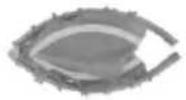 Vevor TX-B6232C-48IN+C - PRODUCT PART - 1