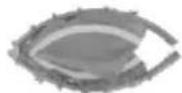 Vevor TX-B6389C-48IN+C - PRODUCT PART - 1