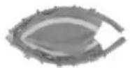 Vevor TX-B6389C-48IN+C - PRODUCT PART - 1