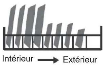 Intérieur → Extérieur
