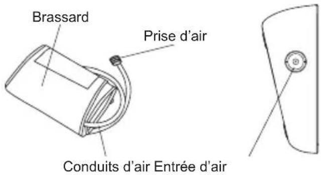 Geratherm Vivo - COMMENT UTILISER LE BRASSARD - 1