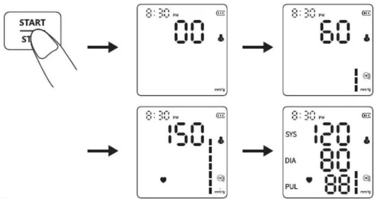 Geratherm Vivo - Taking a Measurement - 1
