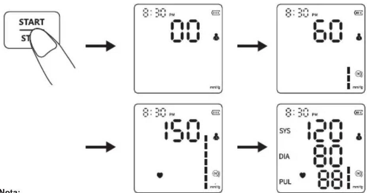 Geratherm Vivo - Preparación antes de la medición - 2