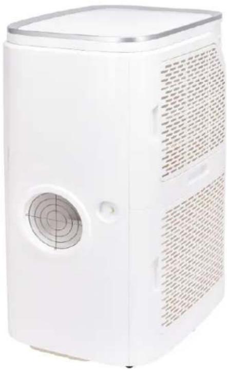 Wood's AC Palermo 22K - B. - 4