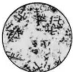 Geratherm Ovu Control - Conception is possible, but unlikely - 1