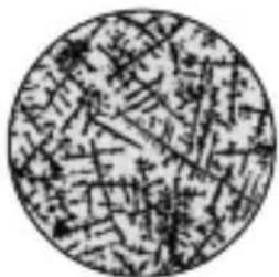 Geratherm Ovu Control - Conception is likely - 1