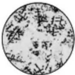 Geratherm Ovu Control - الفهرس - 1