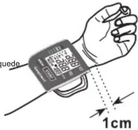 Geratherm Active Control - Colocación del brazalete de presión - 1