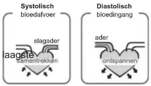 Geratherm Cardio Connect - Wat is systolische en diastolische bloeddruk? - 1