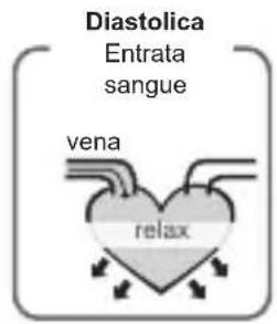 Geratherm Cardio Connect - Cosa sono la pressione sistolica e la pressione diastolica? - 2