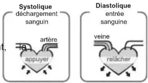 Geratherm Cardio Connect - Que sont la tension systolique et la tension diastolique ? - 1