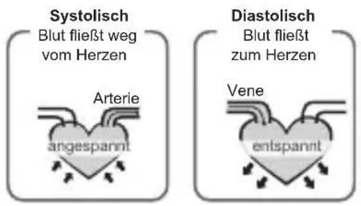 Geratherm Cardio Connect - Was sind systolischer Druck und diastolischer Druck? - 1